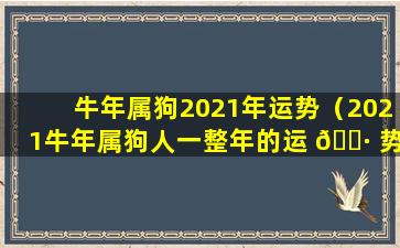 牛年属狗2021年运势（2021牛年属狗人一整年的运 🕷 势大 🐟 全）